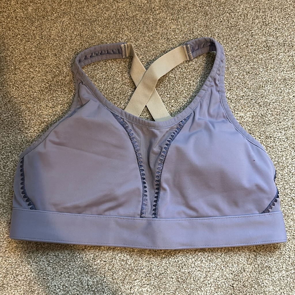 Fabletics Mesh Detail Sports Bra